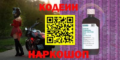 индика Бийск