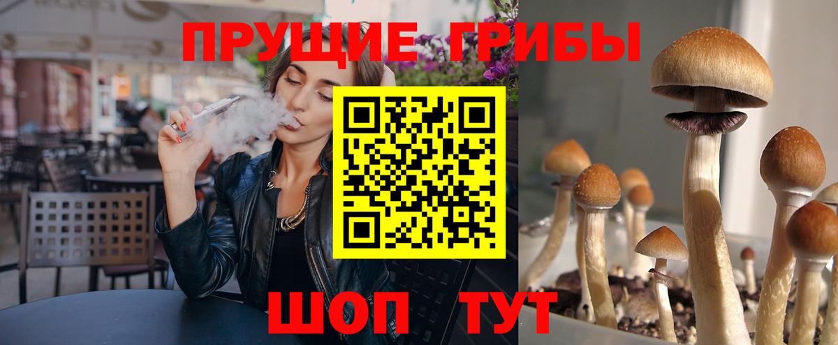 Клин  Псилоцибиновые грибы Cubensis  как найти наркотики  Псилоцибиновые грибы Psilocybe  Вход с VPN 
