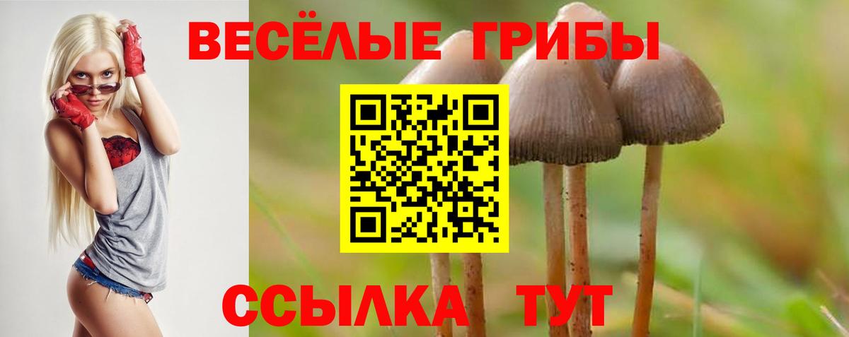 Галлюциногенные грибы GOLDEN TEACHER Клин